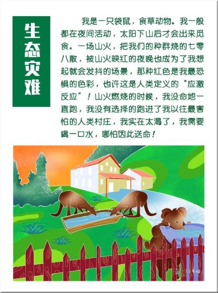 0133-生态灾难33.jpg