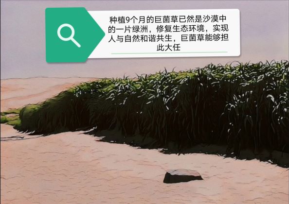 0388-中国梦·菌草梦(白茹梦)(图文)04.jpg