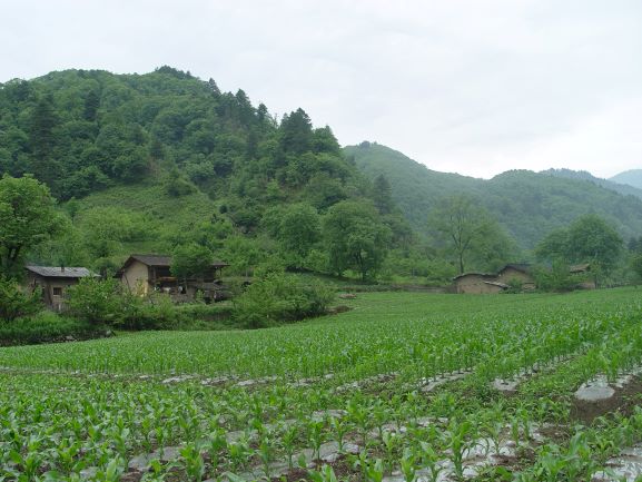 3-3佛坪国家级自然保护区社区一景（曹庆 摄）.jpg