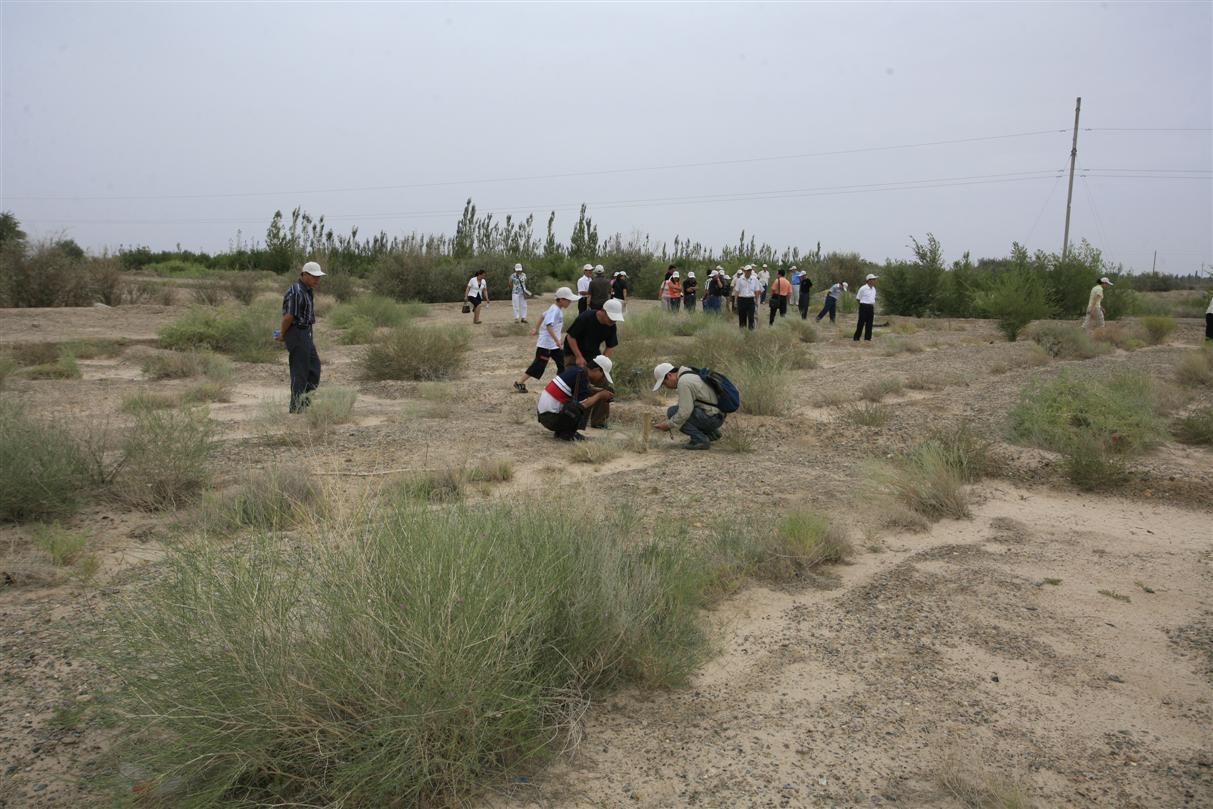 9保护区荒漠植物种植移栽基地.jpg