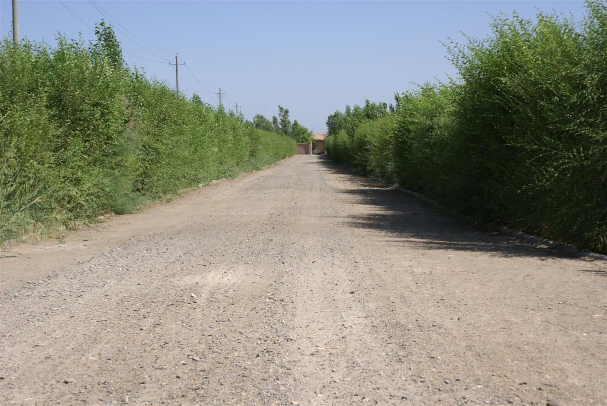 10保护区荒漠物种储存基地---戈壁植物园.jpg