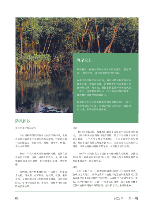 0264-红树林湿地· 温澜潮生(李田雨)(图文)6.png