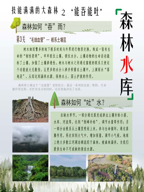 0318-技能满满的大森林之揭秘森林“四库”(张文文)(图文)2森林水库-2.jpg