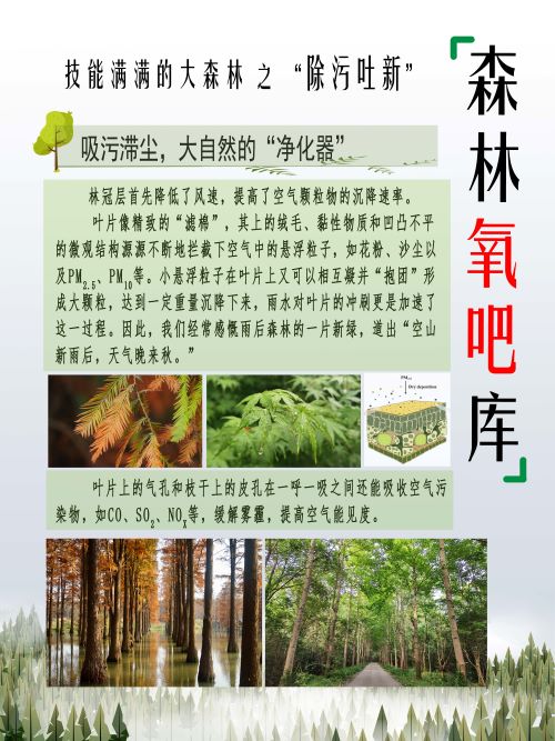0318-技能满满的大森林之揭秘森林“四库”(张文文)(图文)5森林氧吧库-1.jpg