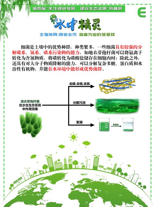 0243-水中精灵(李鑫、潘翔、傅麒捷、甘咏笛，指导老师：侯梅芳、吉喜燕)(图文)E.jpg