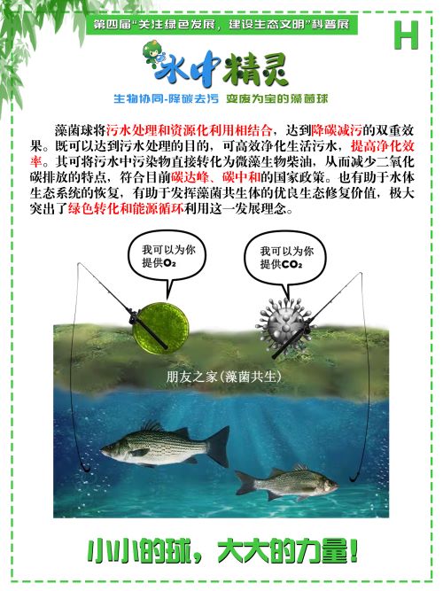 0243-水中精灵(李鑫、潘翔、傅麒捷、甘咏笛，指导老师：侯梅芳、吉喜燕)(图文)H.jpg
