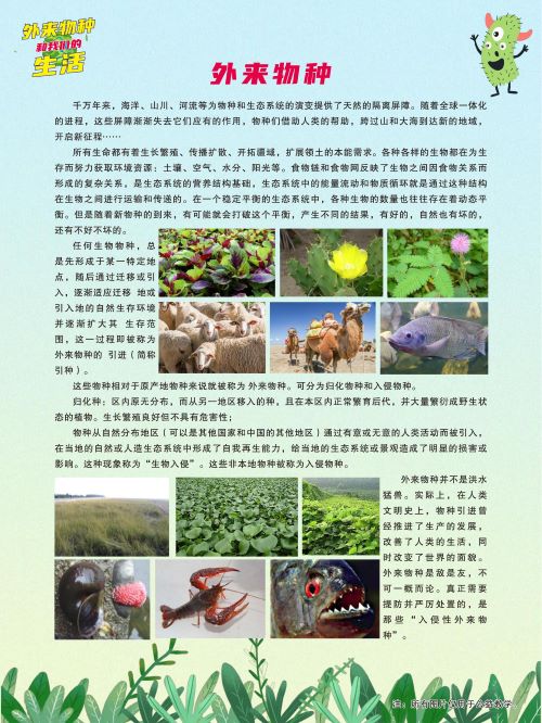 生物多样性2.jpg