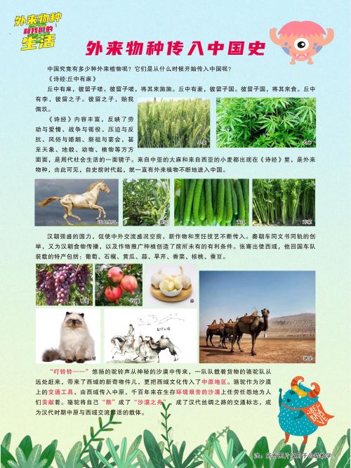 生物多样性4.jpg