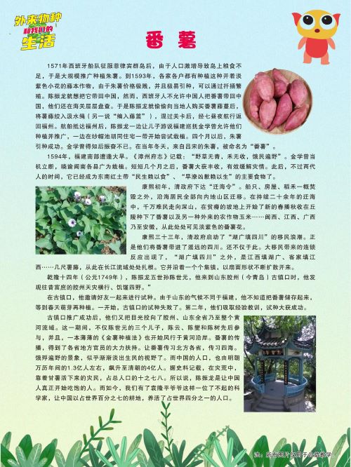 生物多样性6.jpg