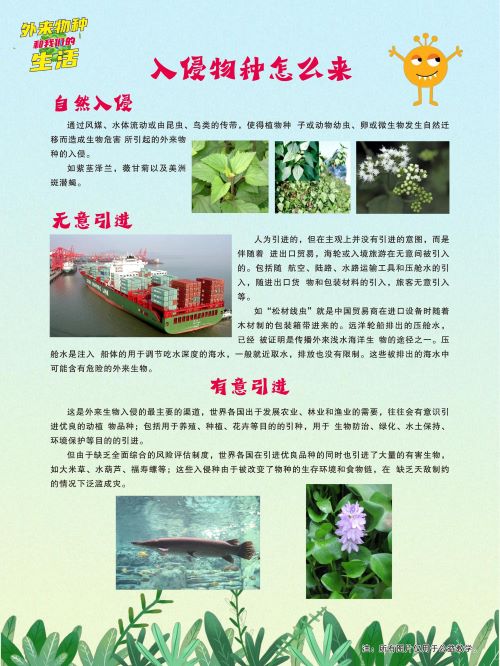 生物多样性9.jpg