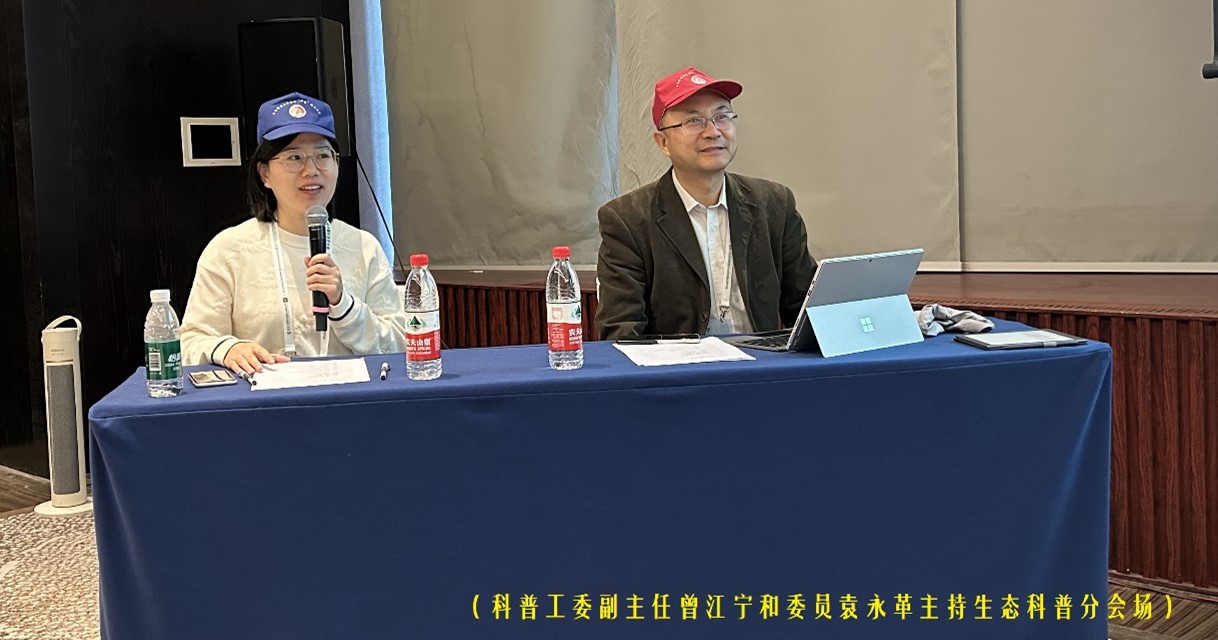 图片31.jpg
