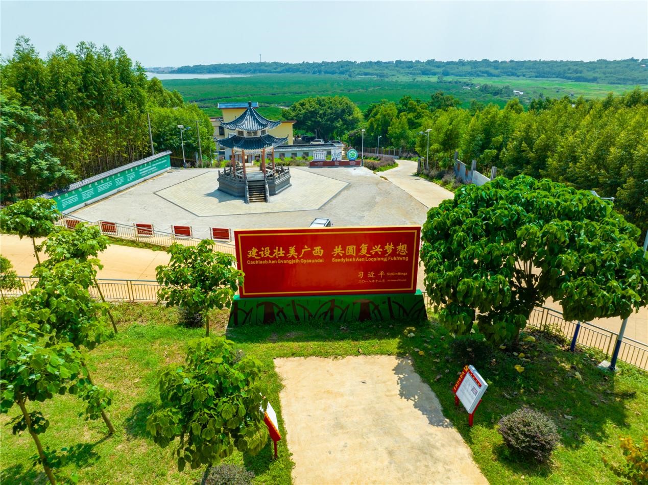图片6.jpg