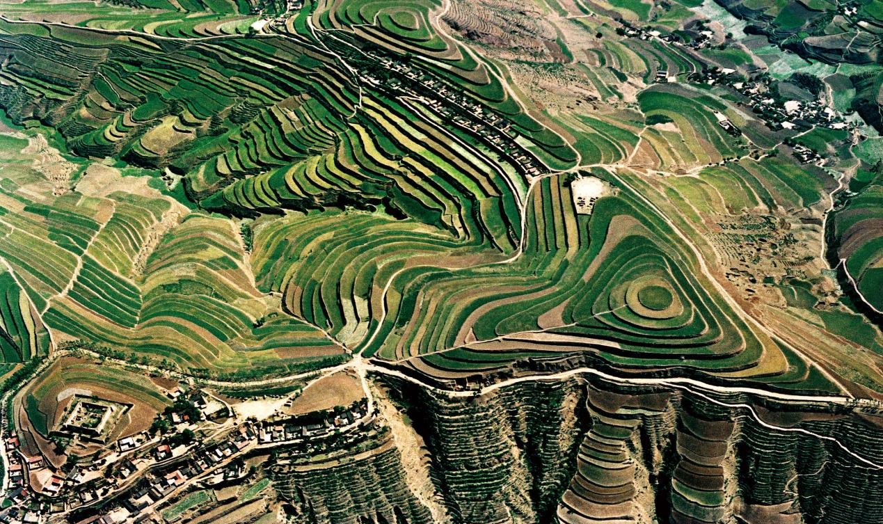 图片8.jpg