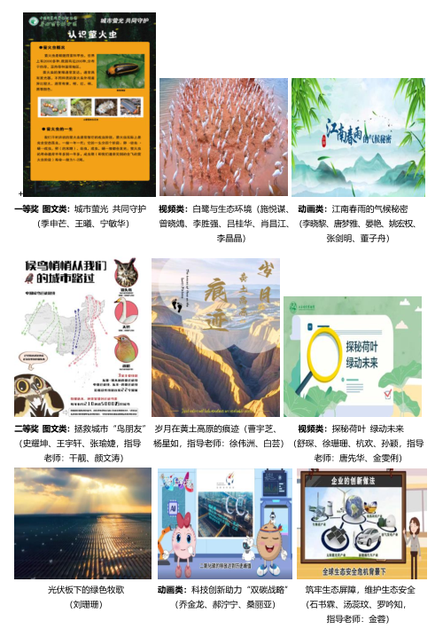 作品大赛11.png