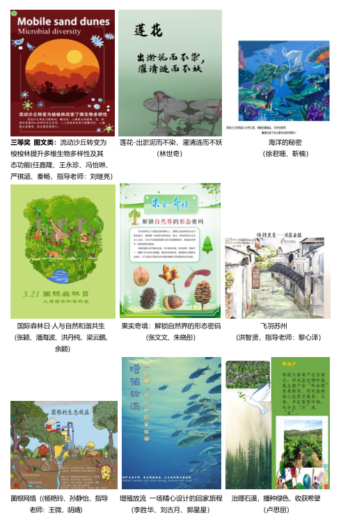 作品大赛22.png