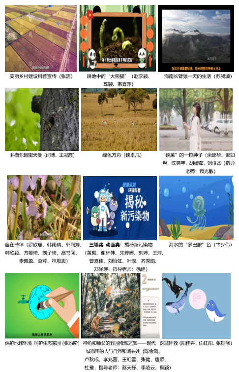 作品大赛77.png
