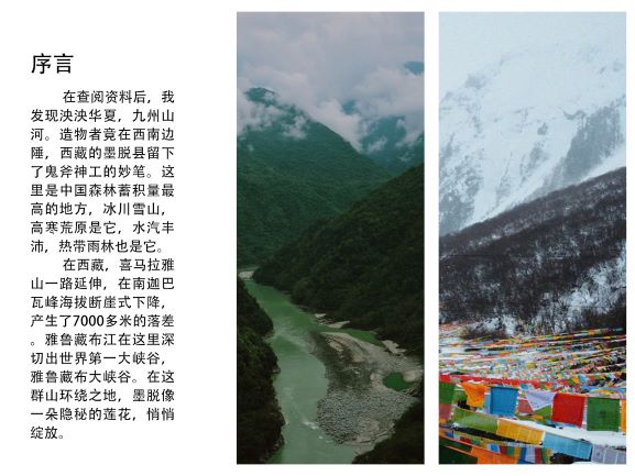 0205-隐秘的莲花(王钺童)(图文)2.jpg