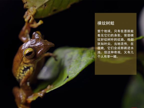 0205-隐秘的莲花(王钺童)(图文)5.jpg