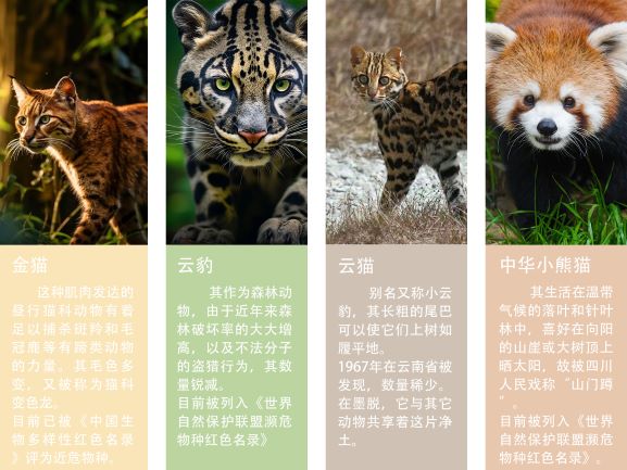 0205-隐秘的莲花(王钺童)(图文)6.jpg
