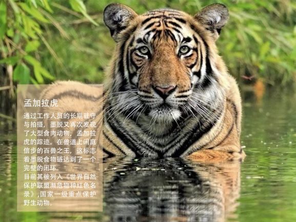 0205-隐秘的莲花(王钺童)(图文)7.jpg