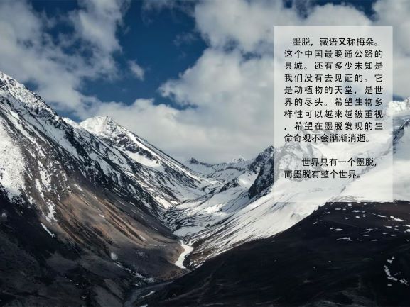 0205-隐秘的莲花(王钺童)(图文)8.jpg