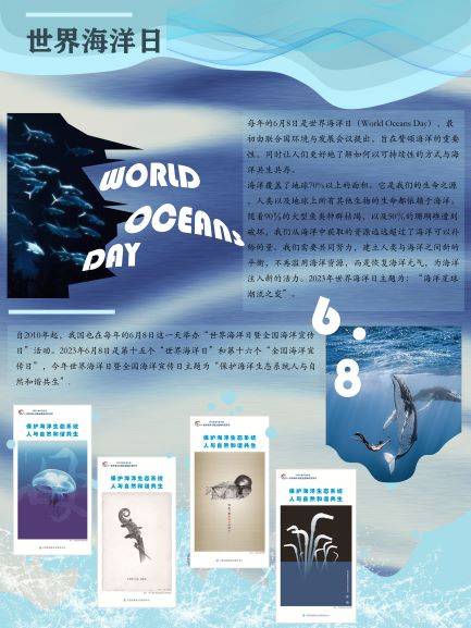 0229-海洋生态系统修复(陆玮琳)(图文)4.jpg