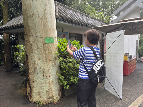 莲花山22.png