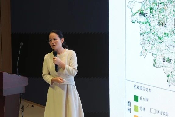 山海新经7.jpg