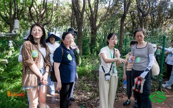 上海生态站2.jpg