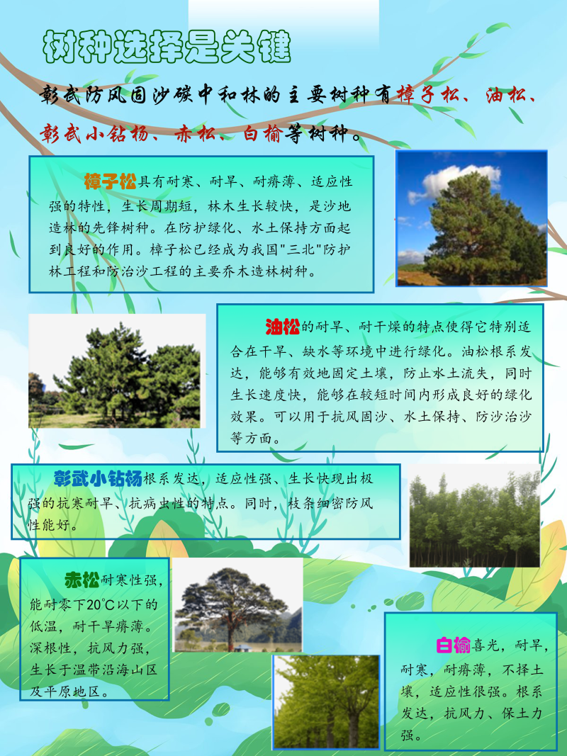 0232-茫茫沙地变林海(朱蕾、杨禹轩、刘津宁、宋亚哲、刘俏、杨雨欣，指导教师：邰姗姗、杨婷婷)(图文)第7页.png