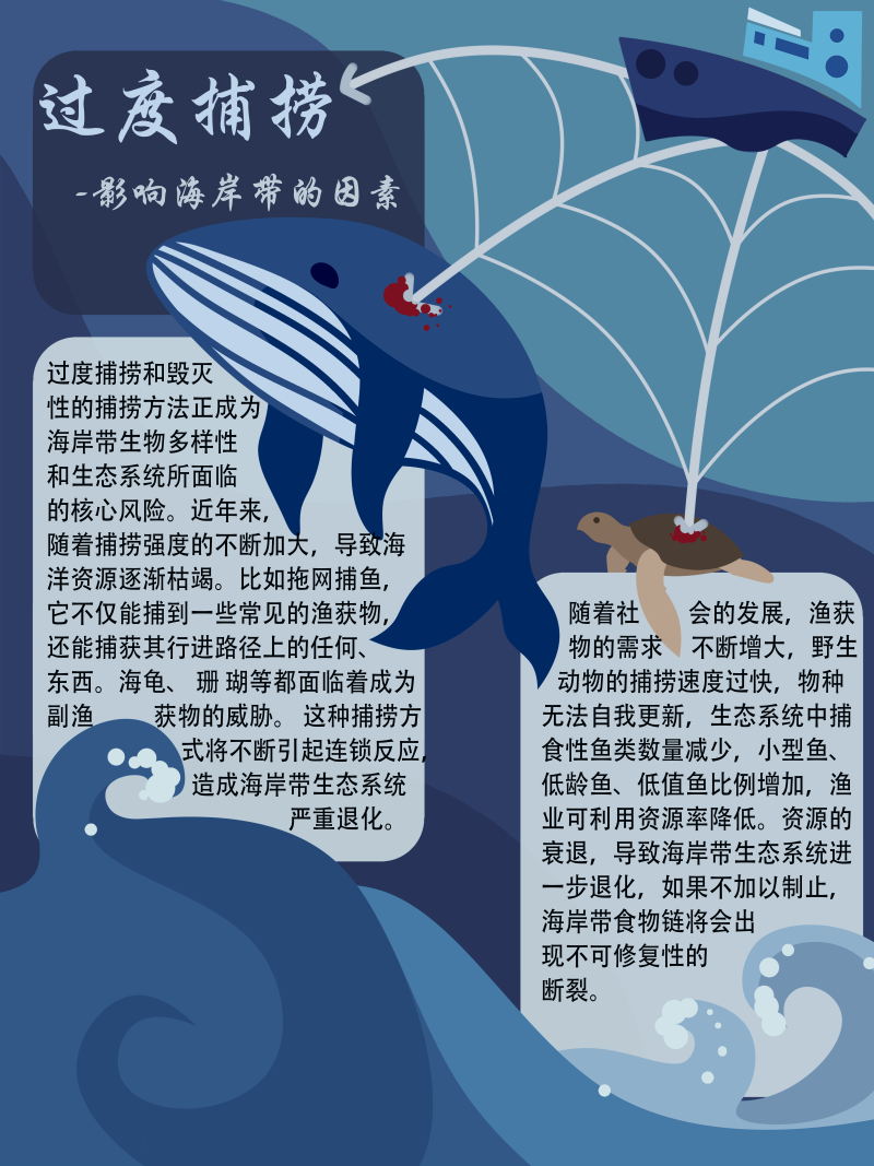 0267-修复与治理海岸带生态系统(谢依霖、吕威娜、金玫彤、徐洋、曹艺玮、郝雅琪)(图文)3-过度捕捞.png