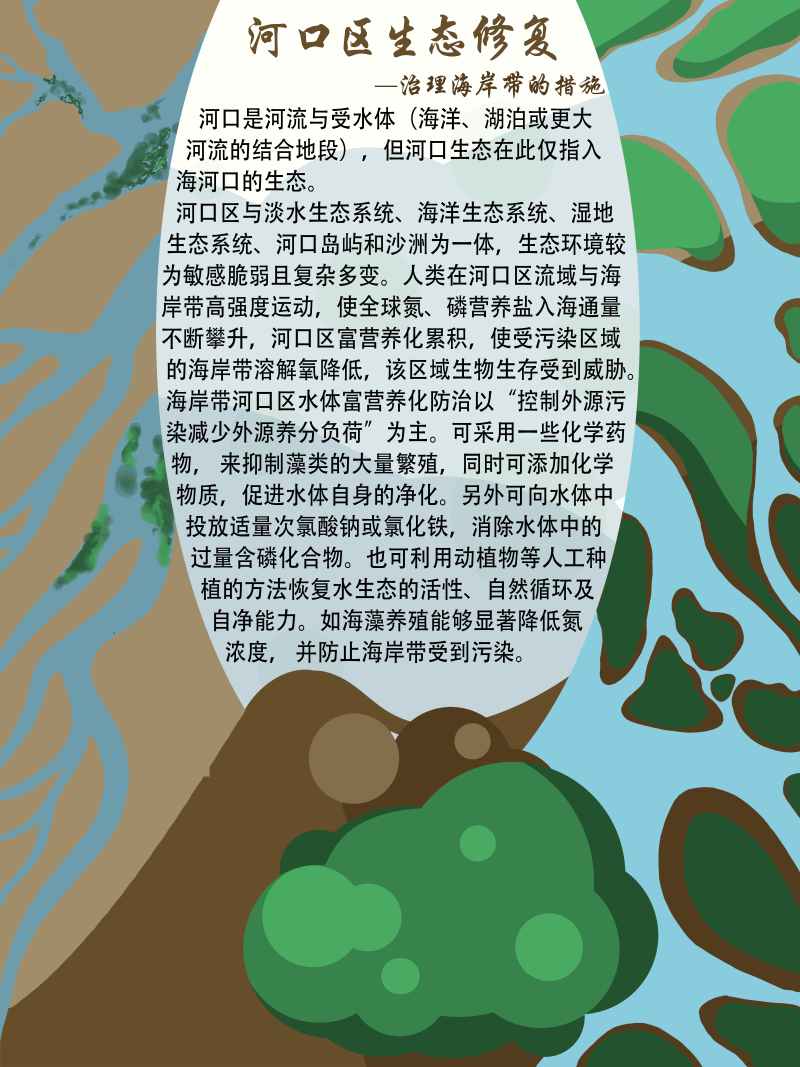 0267-修复与治理海岸带生态系统(谢依霖、吕威娜、金玫彤、徐洋、曹艺玮、郝雅琪)(图文)6-河口区生态修复.png