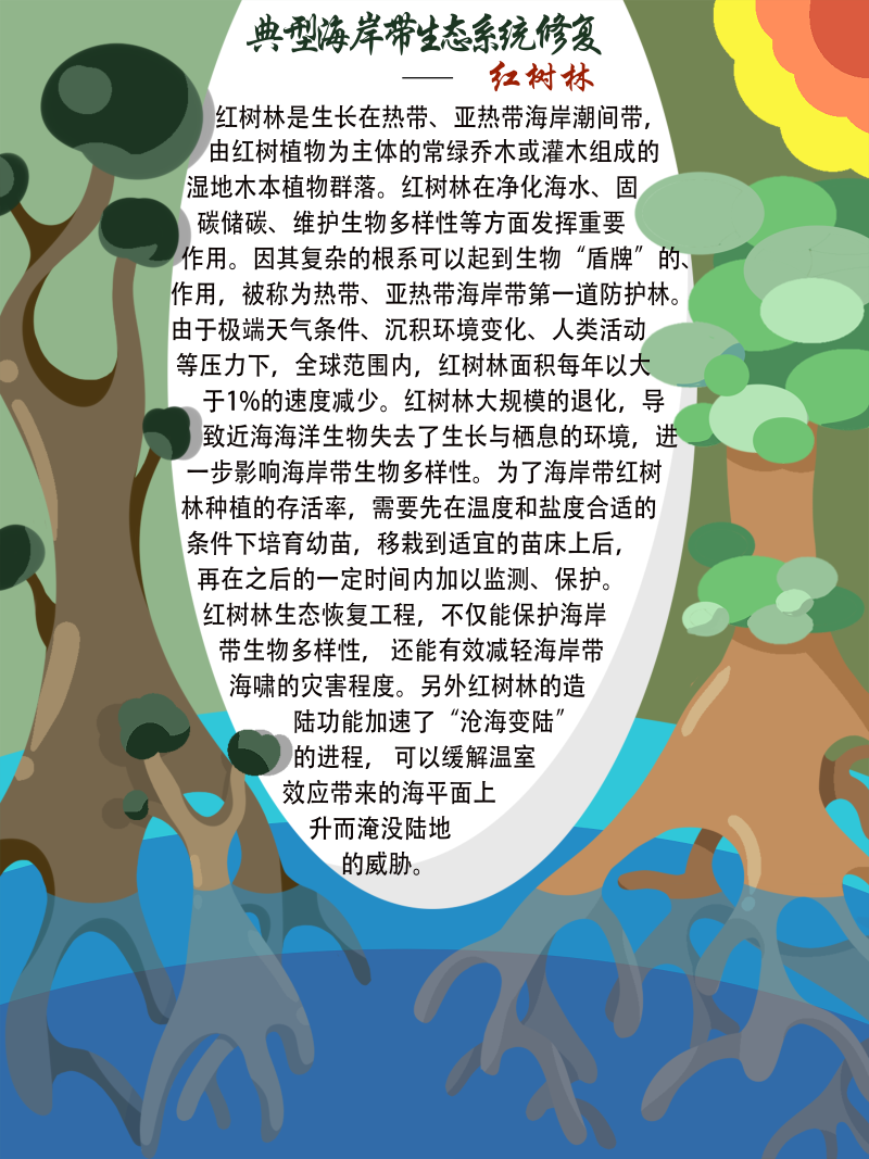 0267-修复与治理海岸带生态系统(谢依霖、吕威娜、金玫彤、徐洋、曹艺玮、郝雅琪)(图文)7-典型生态系统修复—红树林.png
