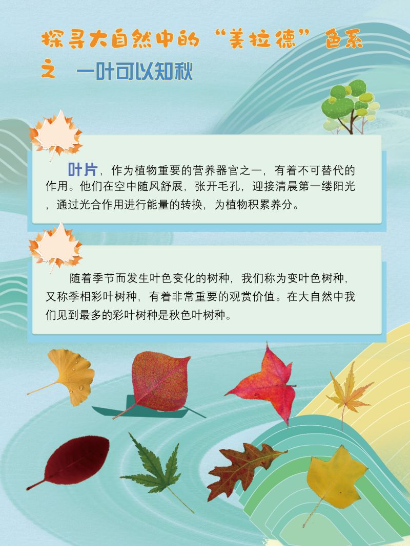 0273-探寻大自然中的“美拉德”色系(植物篇)(韩玉洁、张文文、朱晓彤)(图文)1.jpg