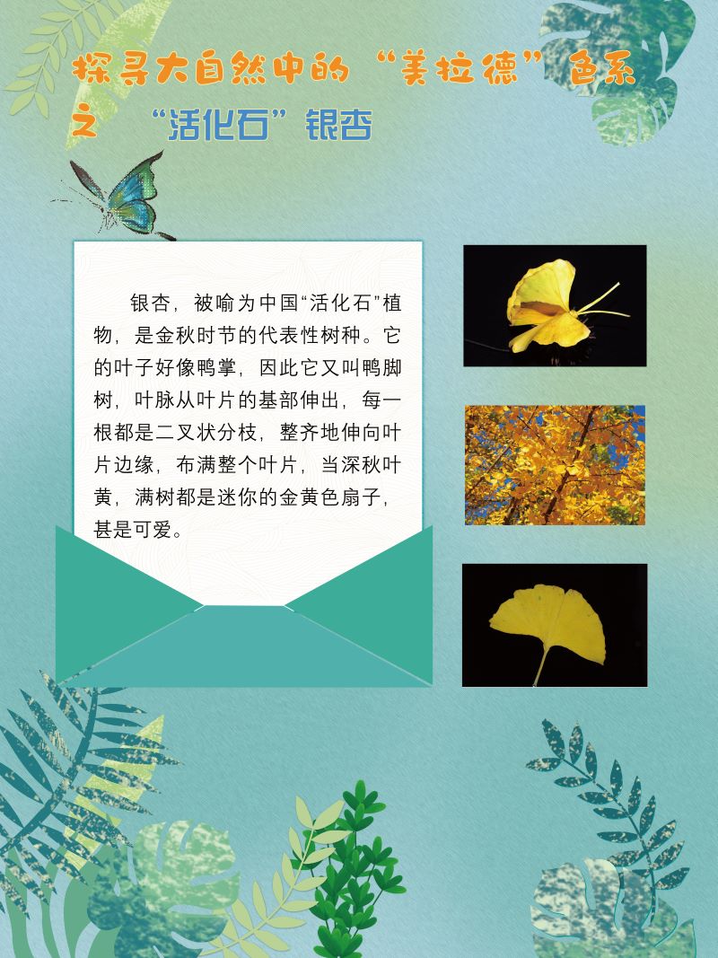 0273-探寻大自然中的“美拉德”色系(植物篇)(韩玉洁、张文文、朱晓彤)(图文)3.jpg