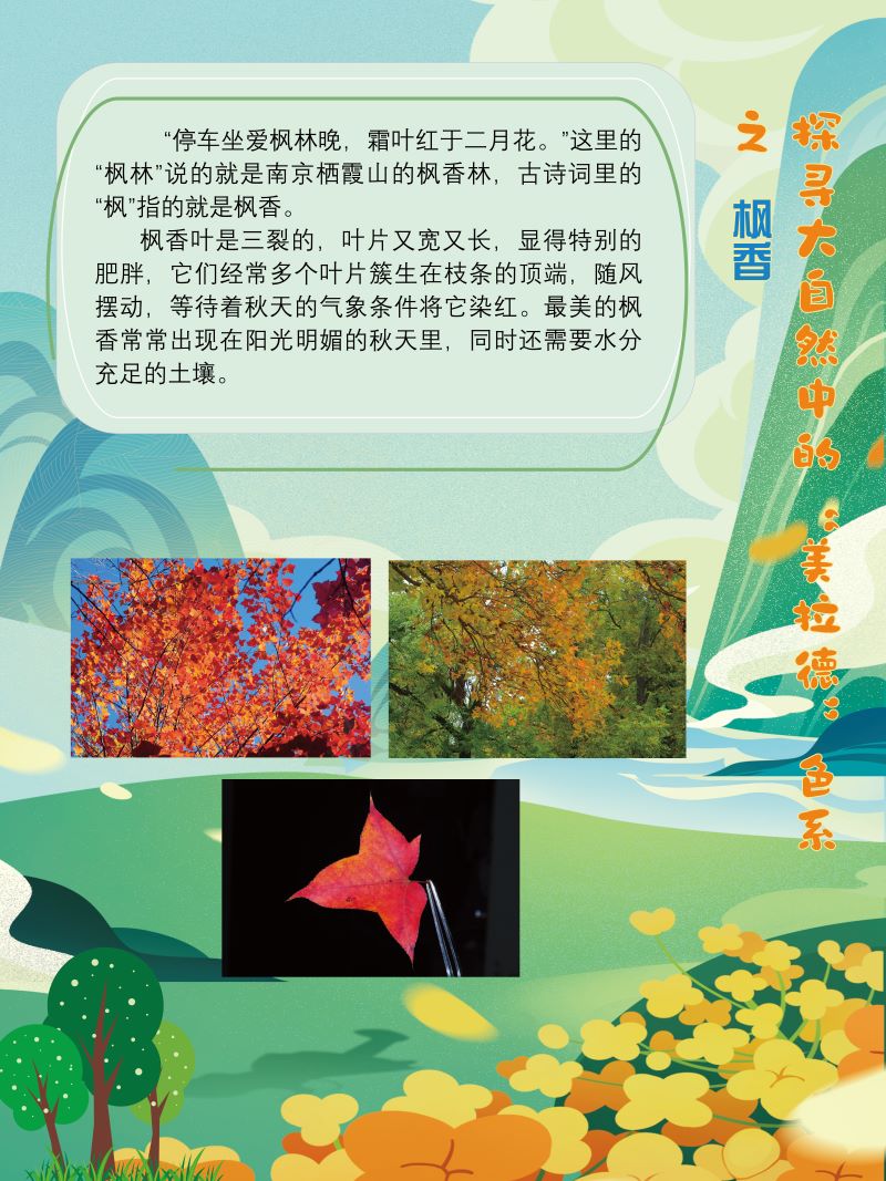0273-探寻大自然中的“美拉德”色系(植物篇)(韩玉洁、张文文、朱晓彤)(图文)4.jpg