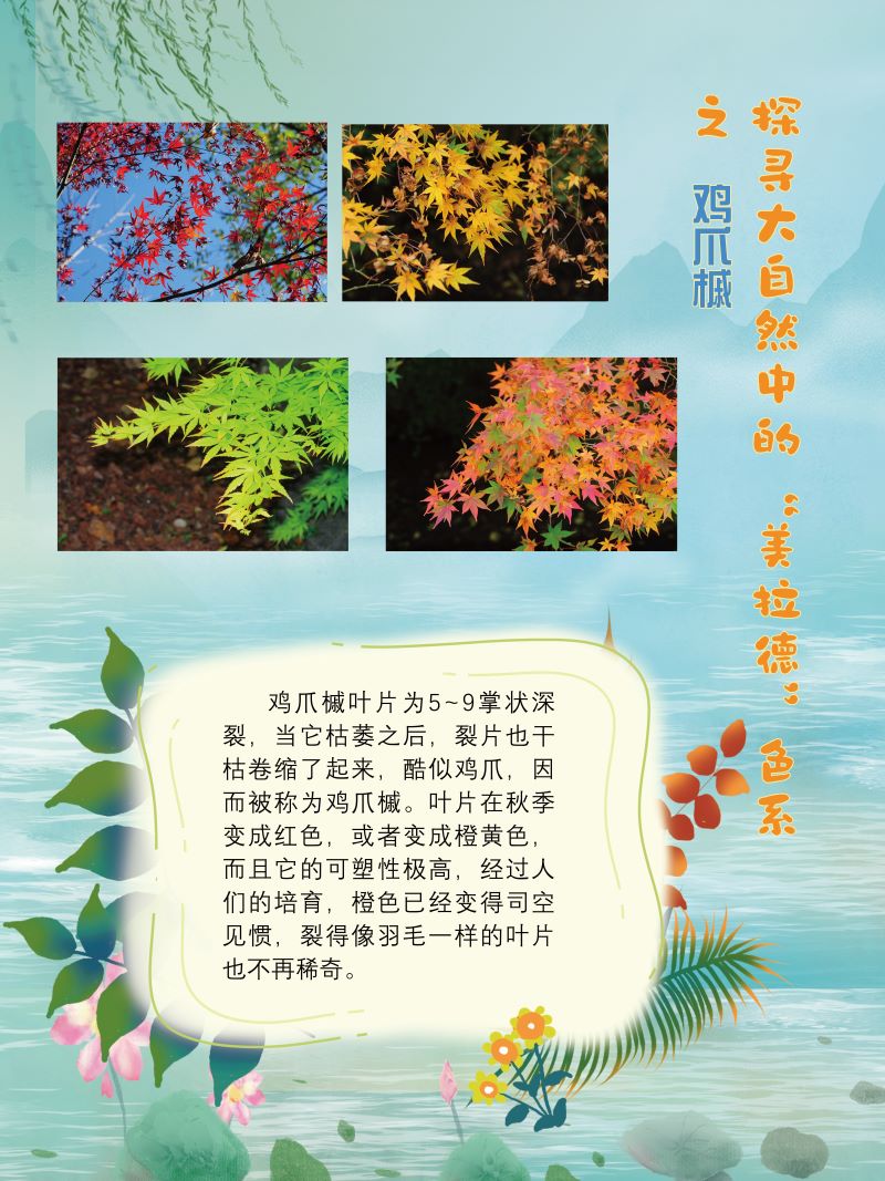 0273-探寻大自然中的“美拉德”色系(植物篇)(韩玉洁、张文文、朱晓彤)(图文)6.jpg