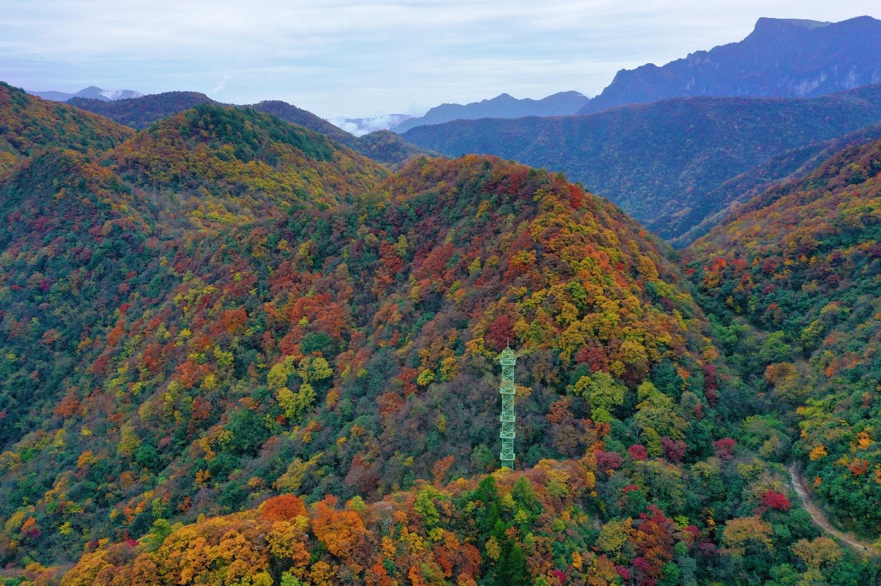 图片5.jpg 图片5.jpg