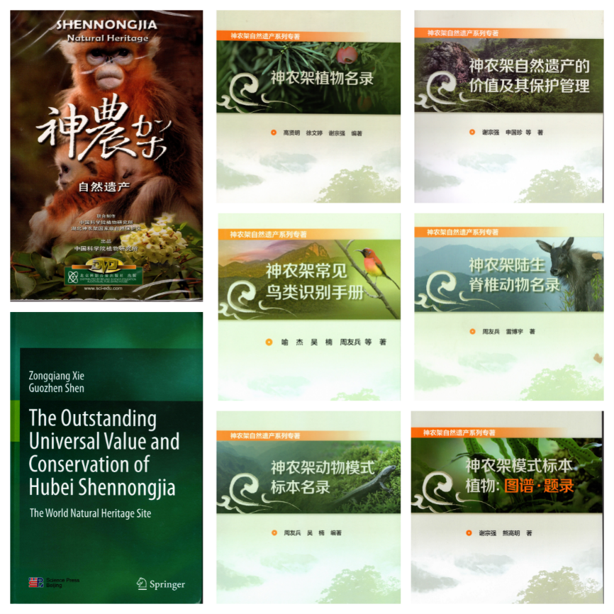 图片14.png 图片14.png