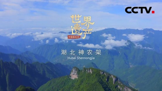 图片16.jpg 图片16.jpg