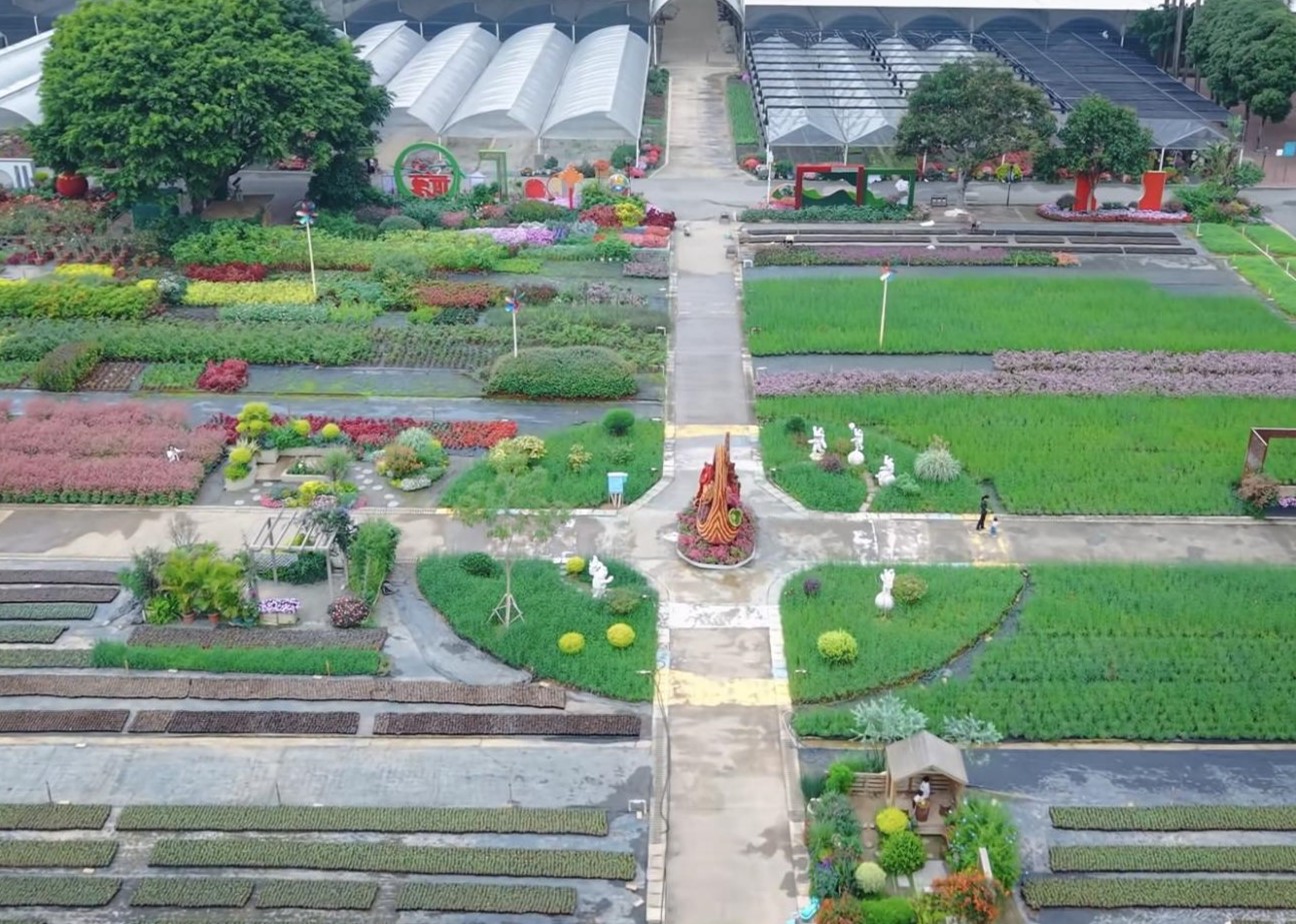 南宁花卉公园1.jpg 南宁花卉公园1.jpg