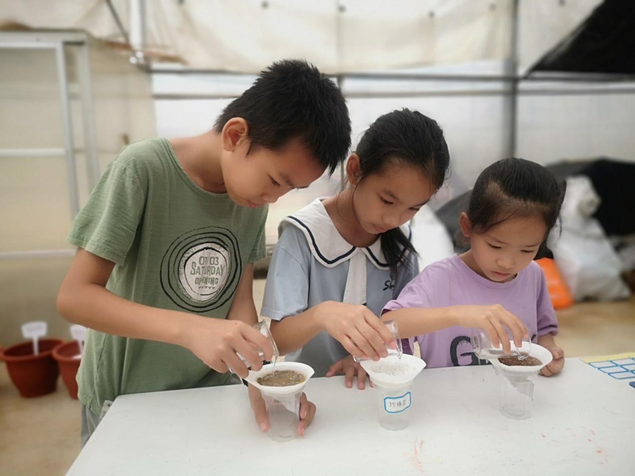 南宁花卉公园6.jpg 南宁花卉公园6.jpg