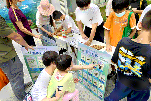 植物寻踪，帽峰探秘3