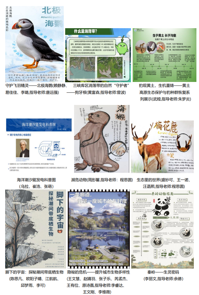 科普作品大赛截图5.png