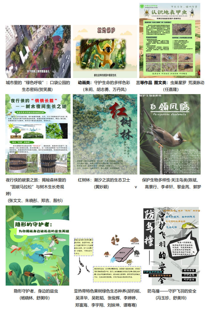 科普作品大赛截图2.png