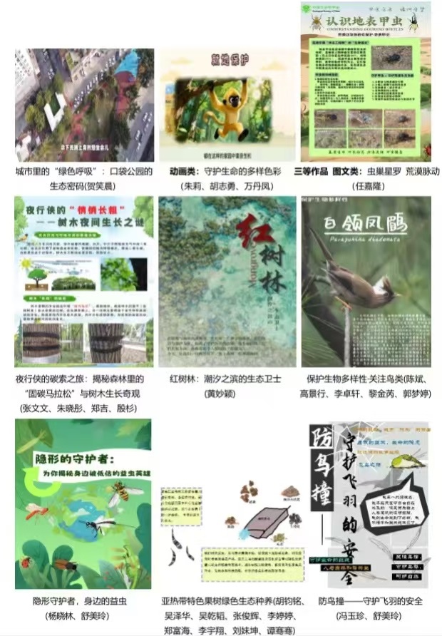 科普作品大赛截图2.jpg