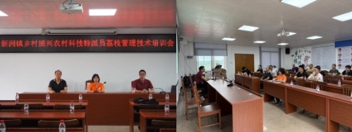广东图1.png