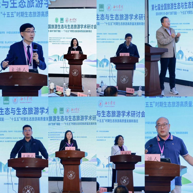 图片8