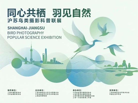 上海鸟类摄影展3.jpg
