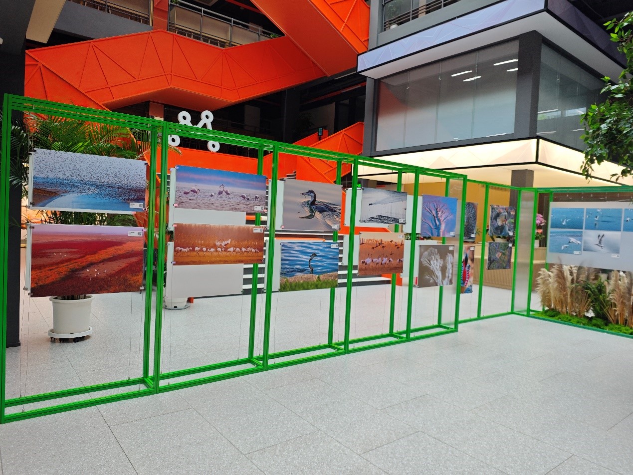 上海鸟类摄影展5.jpg